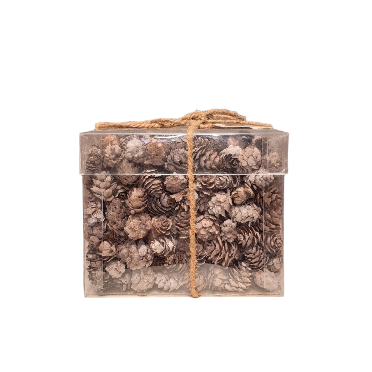 Natural Mini Pinecones