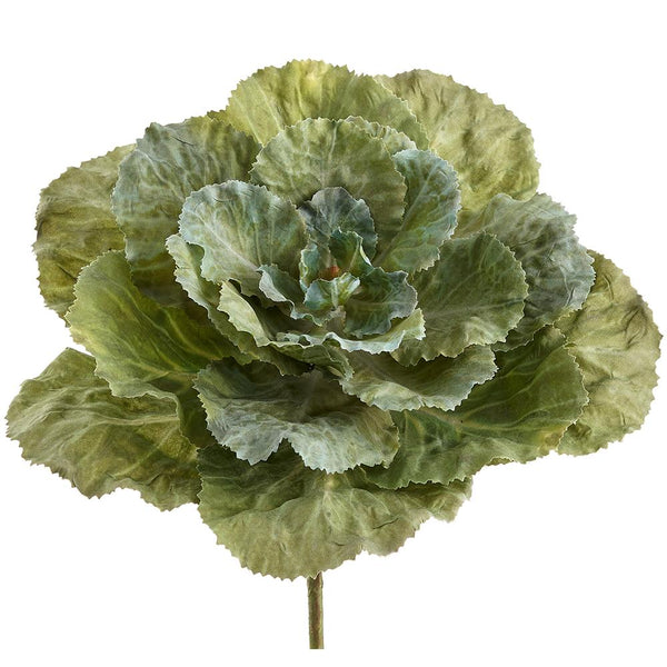 Artificial green leafy cabbage plant on a white background