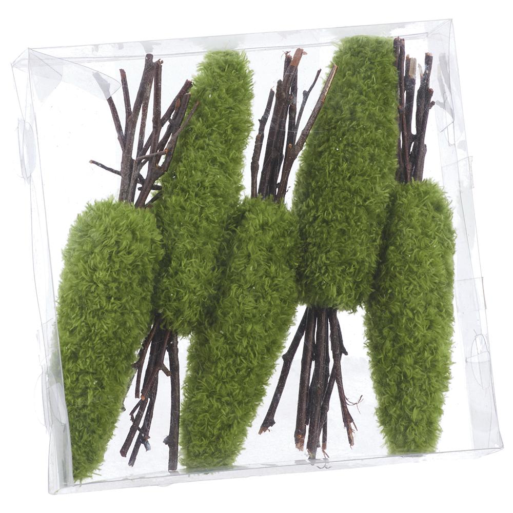 Green moss carrots with twig tops in a clear box on a white background.