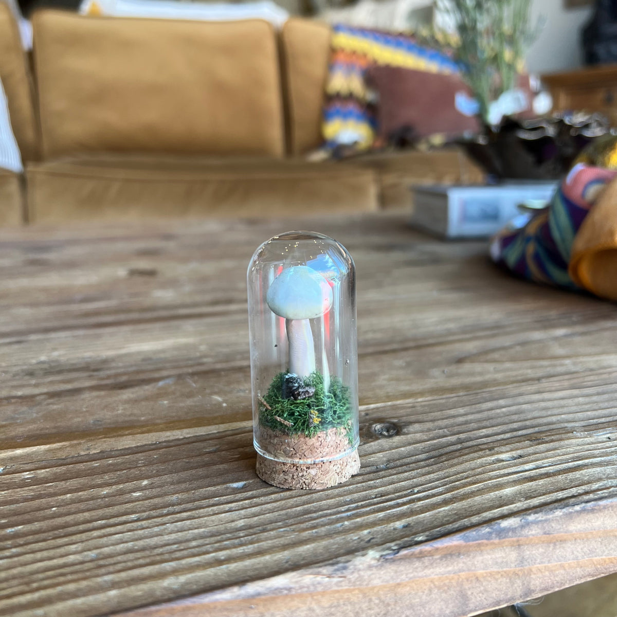 Handmade Miniature Ecoclay Mushroom Terrarium