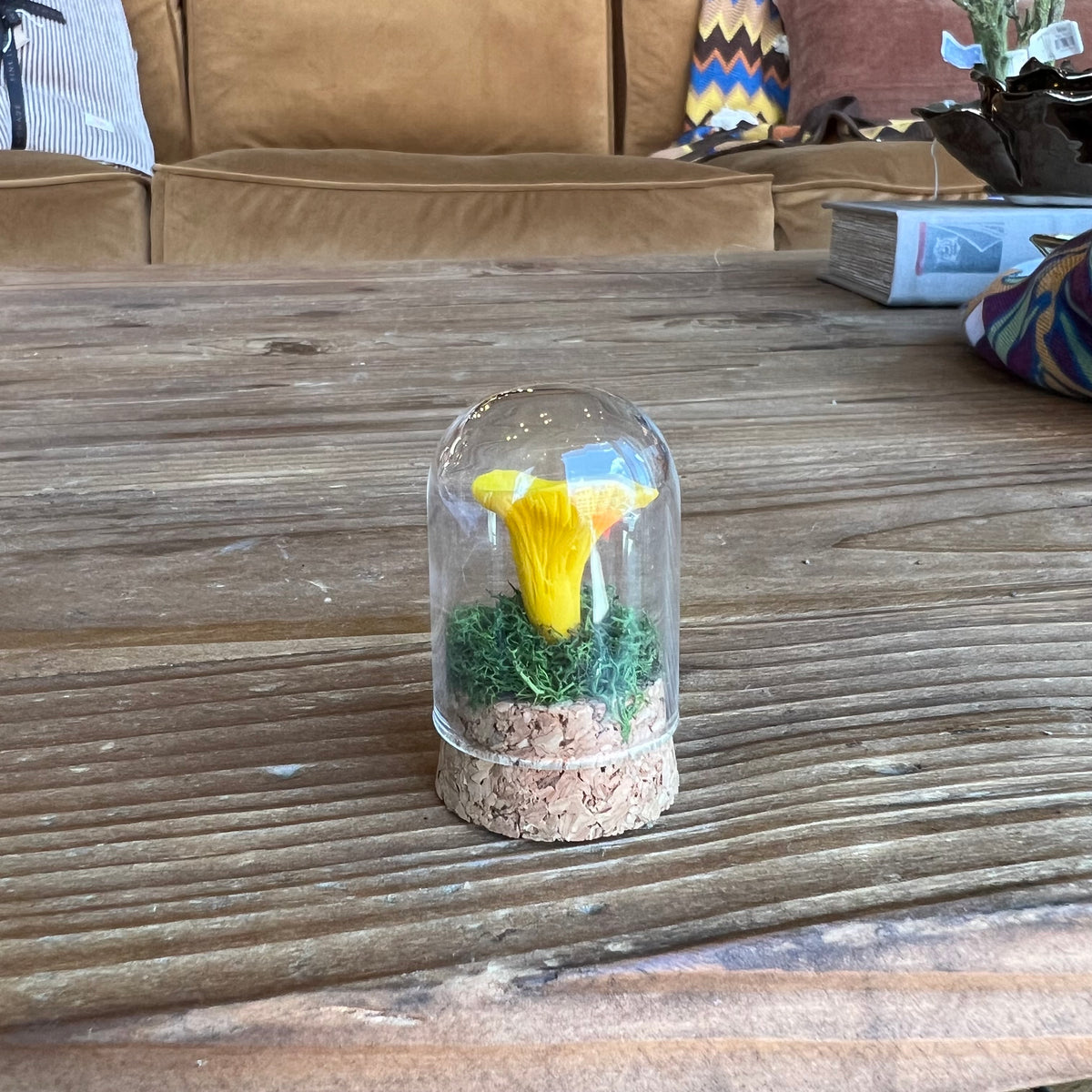 Handmade Miniature Ecoclay Mushroom Terrarium