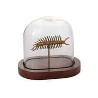 Millipede Cloche