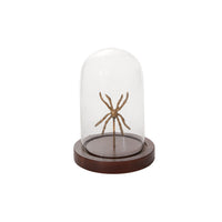 Spider Cloche