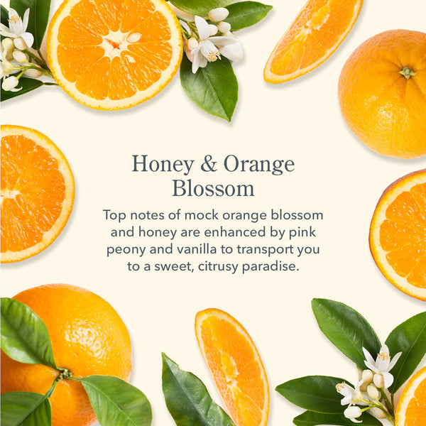 Beekman 1802 Honey & Orange Blossom Goats Milk Hand Cream 2oz