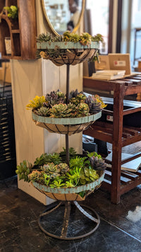 Fruit Stand Display