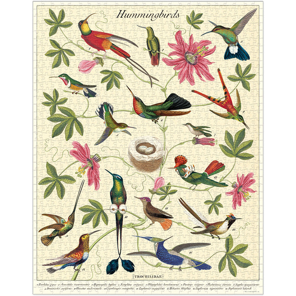 Illustration of hummingbirds and flowers on a beige background