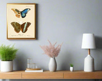 Butterfly Wall Art