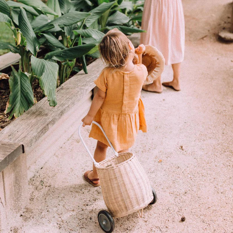 Pastel Olli Ella Luggy Basket with Wheels
