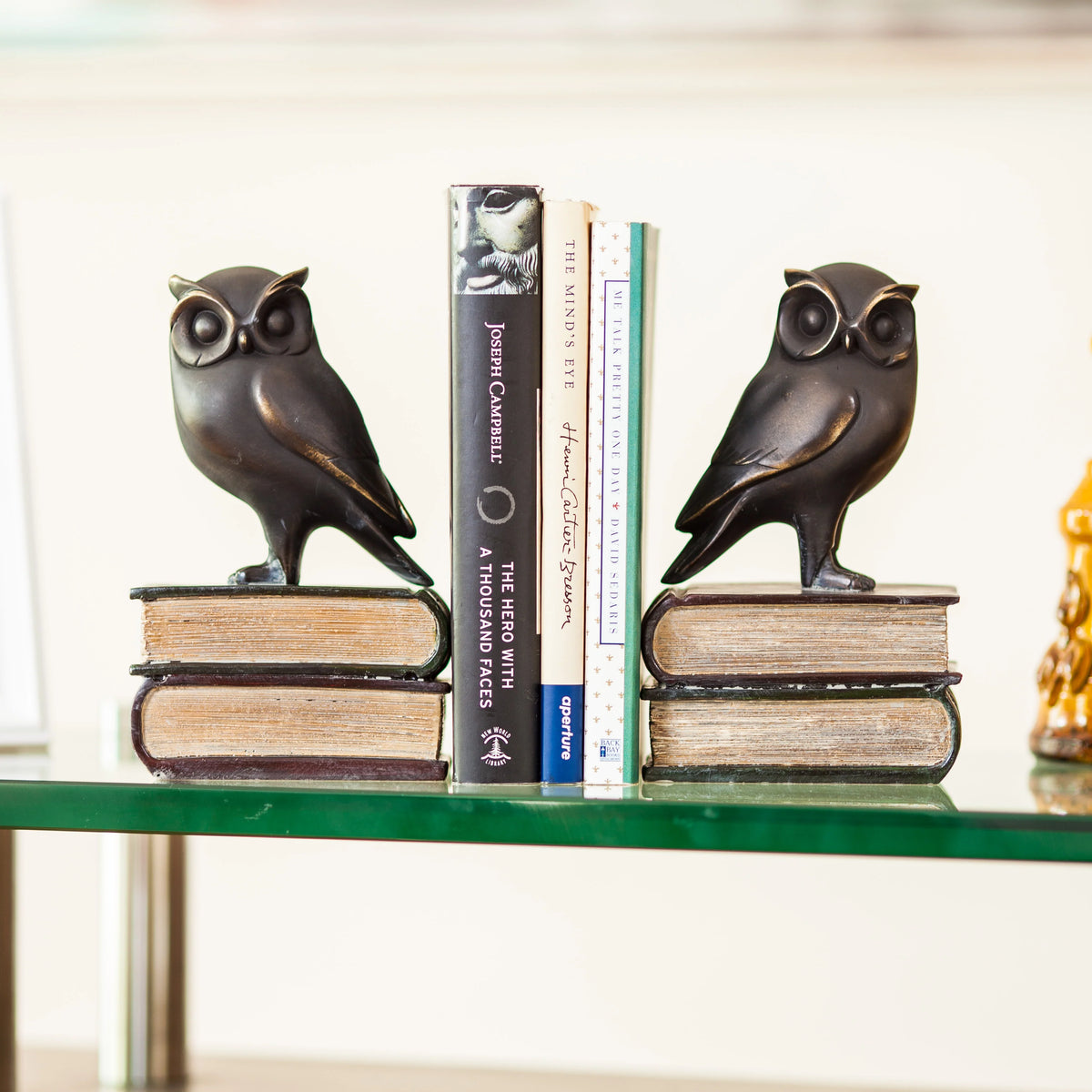 Owl on Books Bookend Set | Danya B.