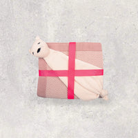 Pink Lemonade Baby Blanket & Lovie Set - Pale Pink