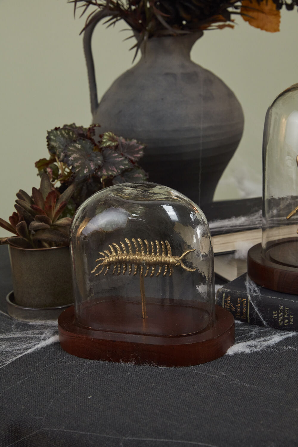 Millipede Cloche