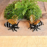 Bee, Glass