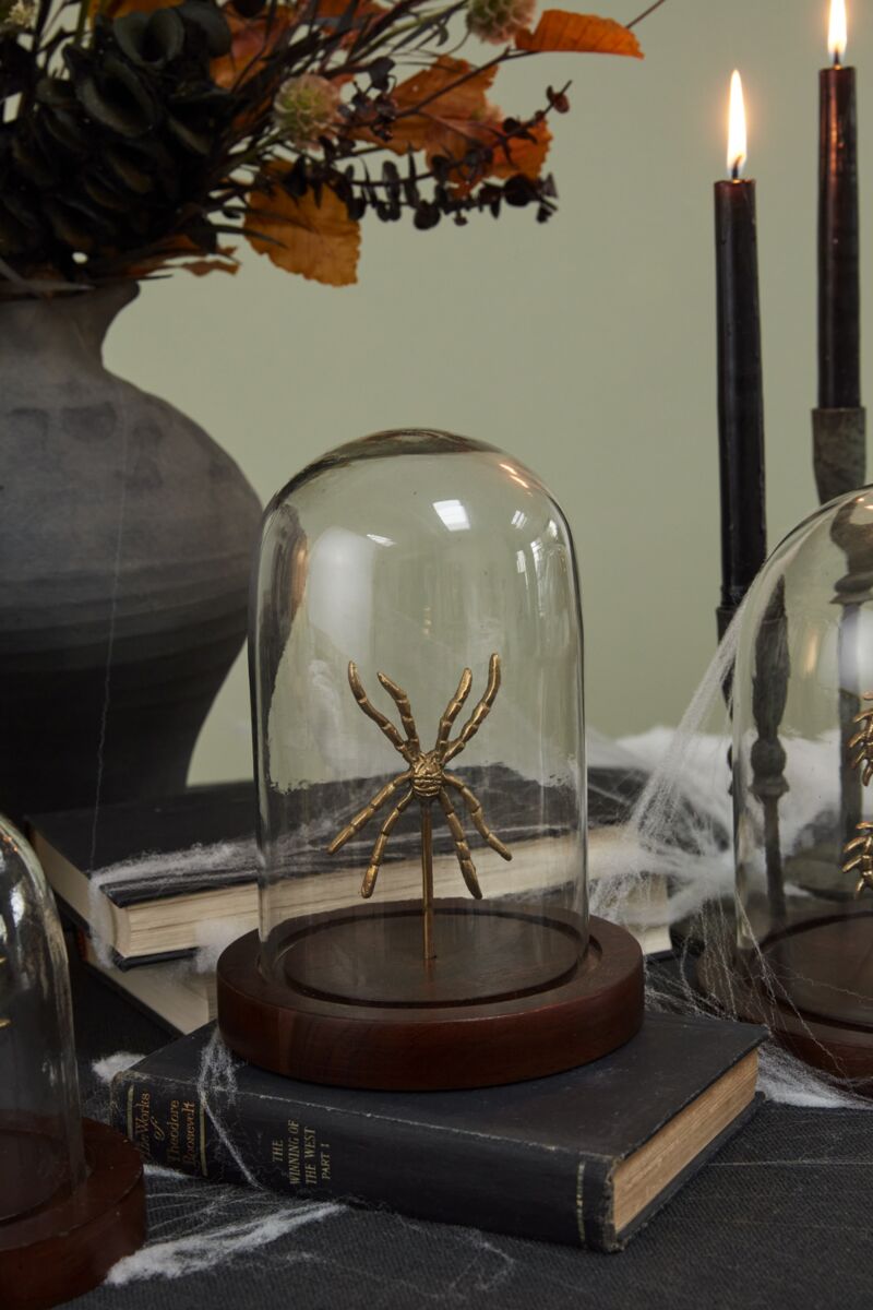 Spider Cloche
