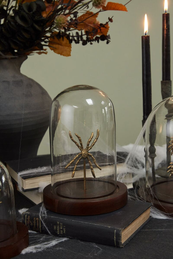 Spider Cloche