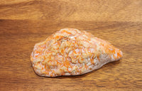 Oyster Shell Dish