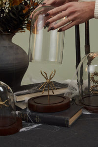 Spider Cloche