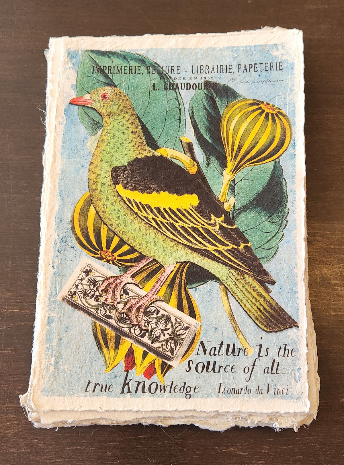 Inspirational Quote with Bird on Handmade Paper Print
