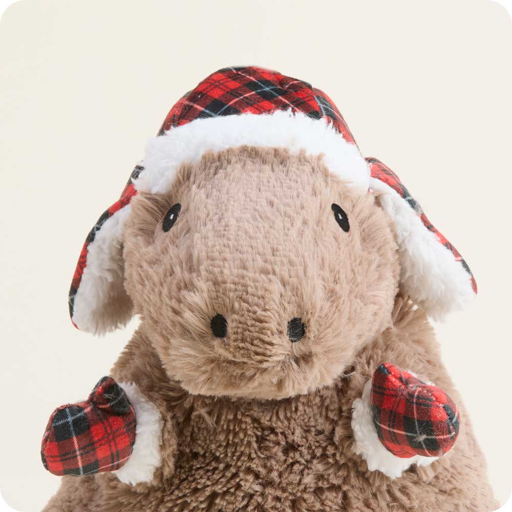 Cozy Capybara Warmies®