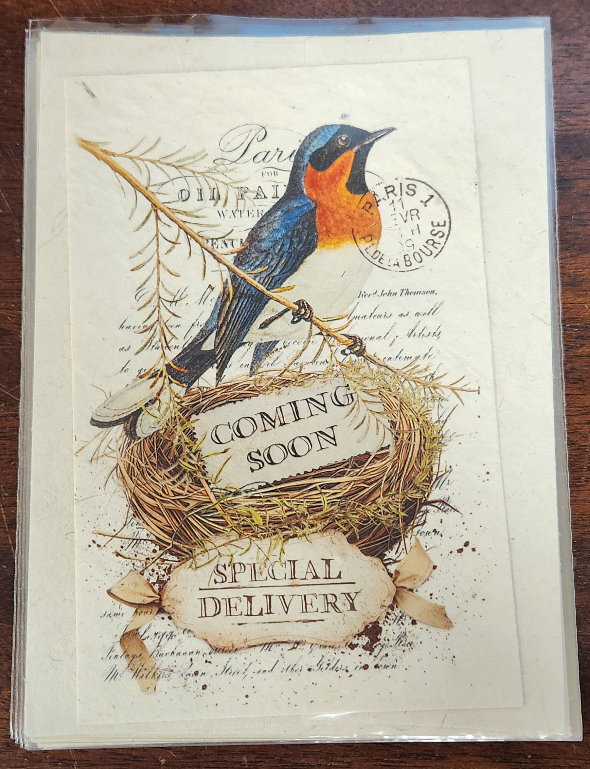 Wildflower Seeded Paper Post Card With Envelope 4x6