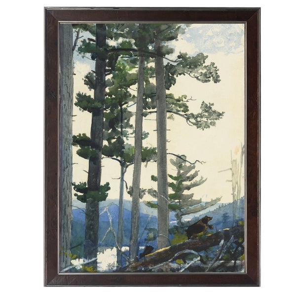 Framed painting of a forest scene with tall trees and a bear on a log on a white background