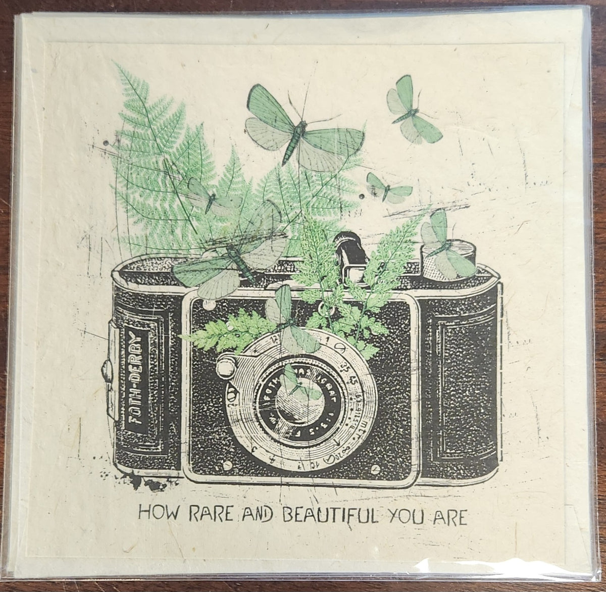 Vintage camera illustration with greenery and butterflies on a textured background