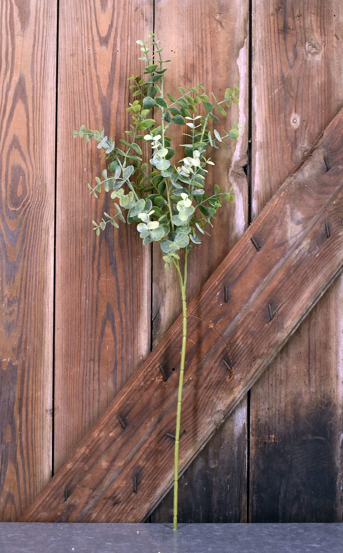 Baby Faux Eucalyptus Branch