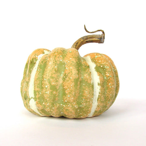 Assorted Mini Pumpkins