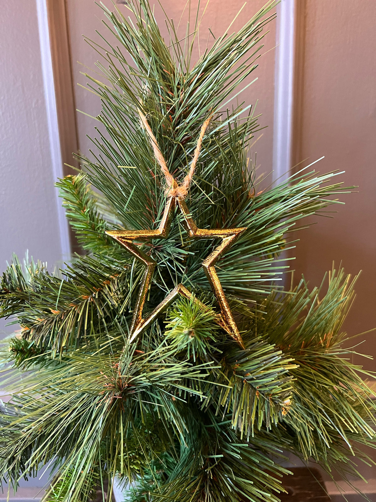 Star Ornament