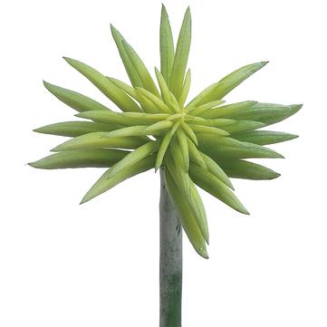 Faux Starburst Succulent